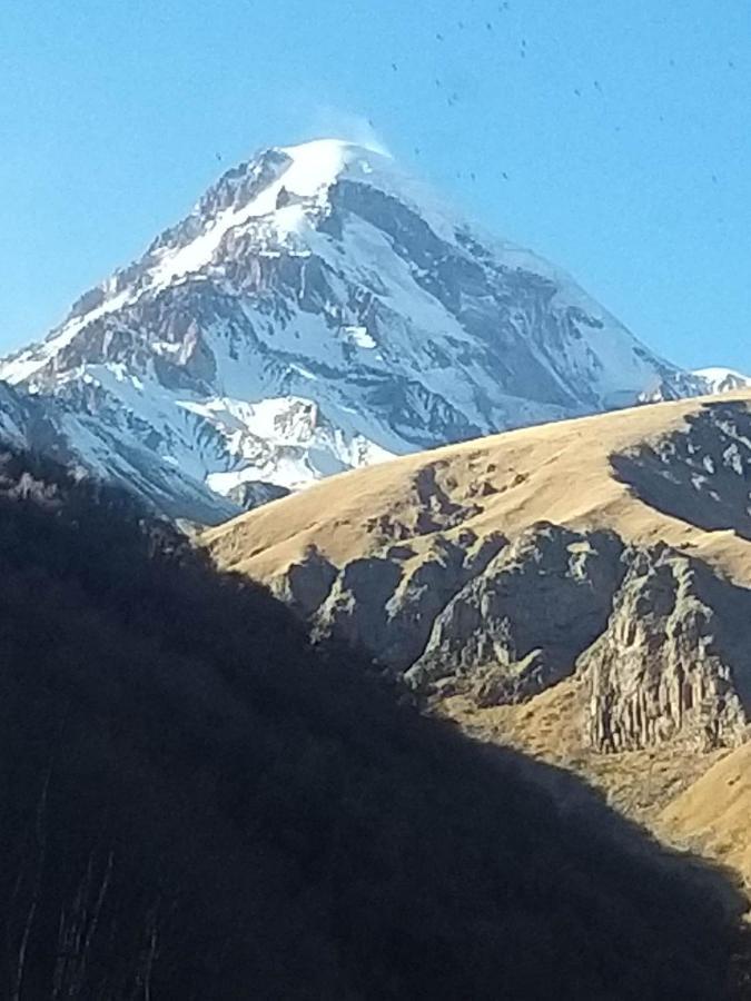 Апартаменты Emotion Kazbegi Экстерьер фото