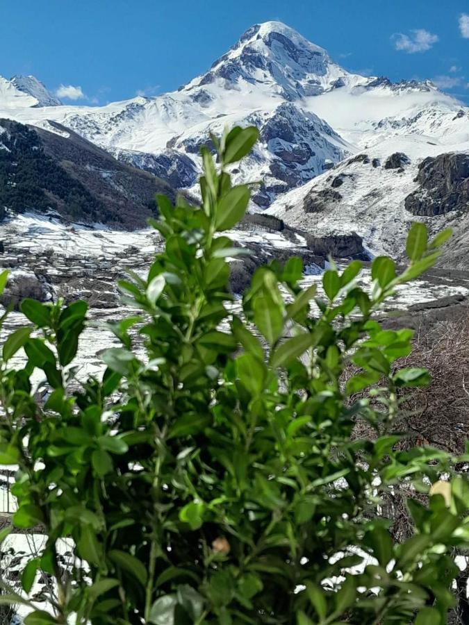 Апартаменты Emotion Kazbegi Экстерьер фото