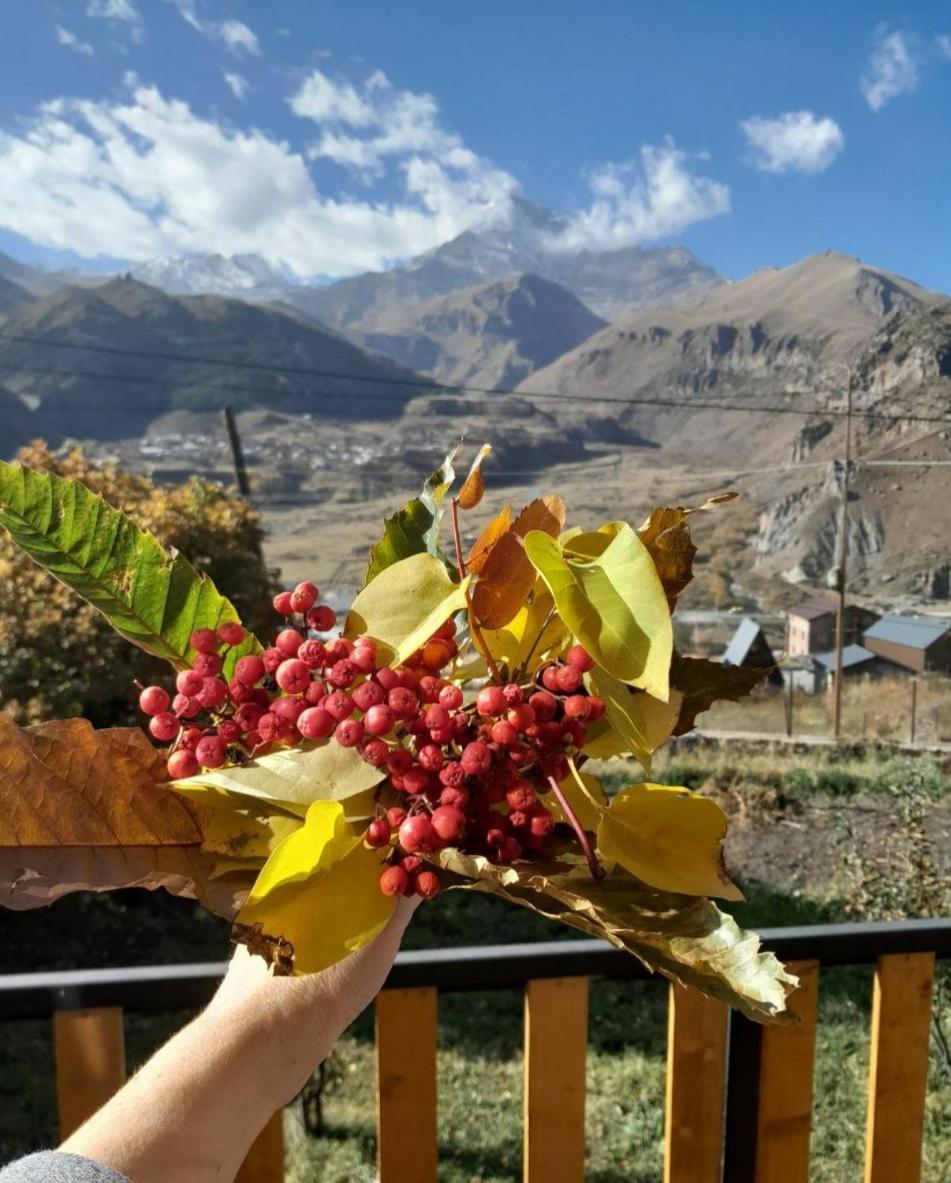 Апартаменты Emotion Kazbegi Номер фото