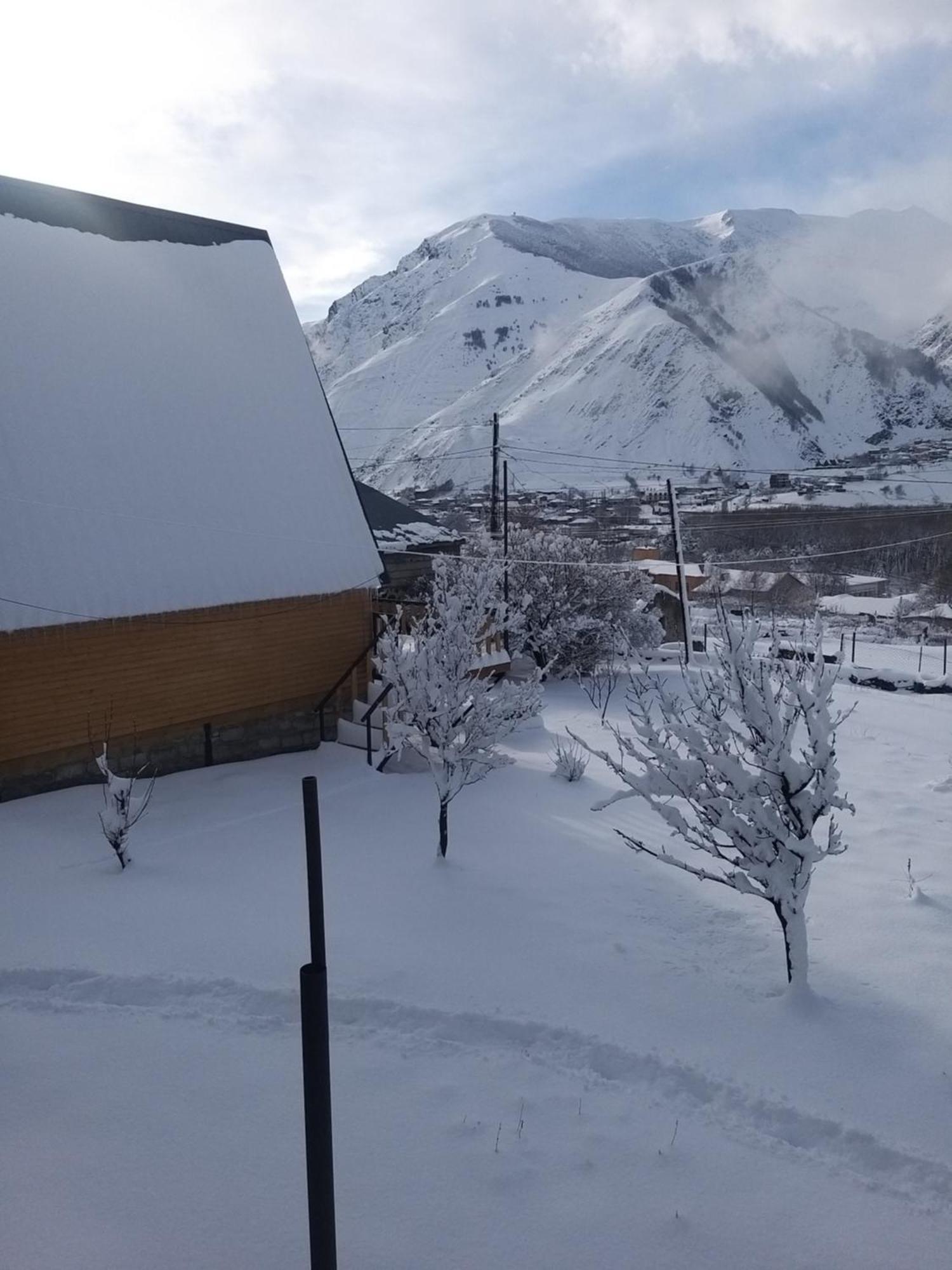 Апартаменты Emotion Kazbegi Номер фото