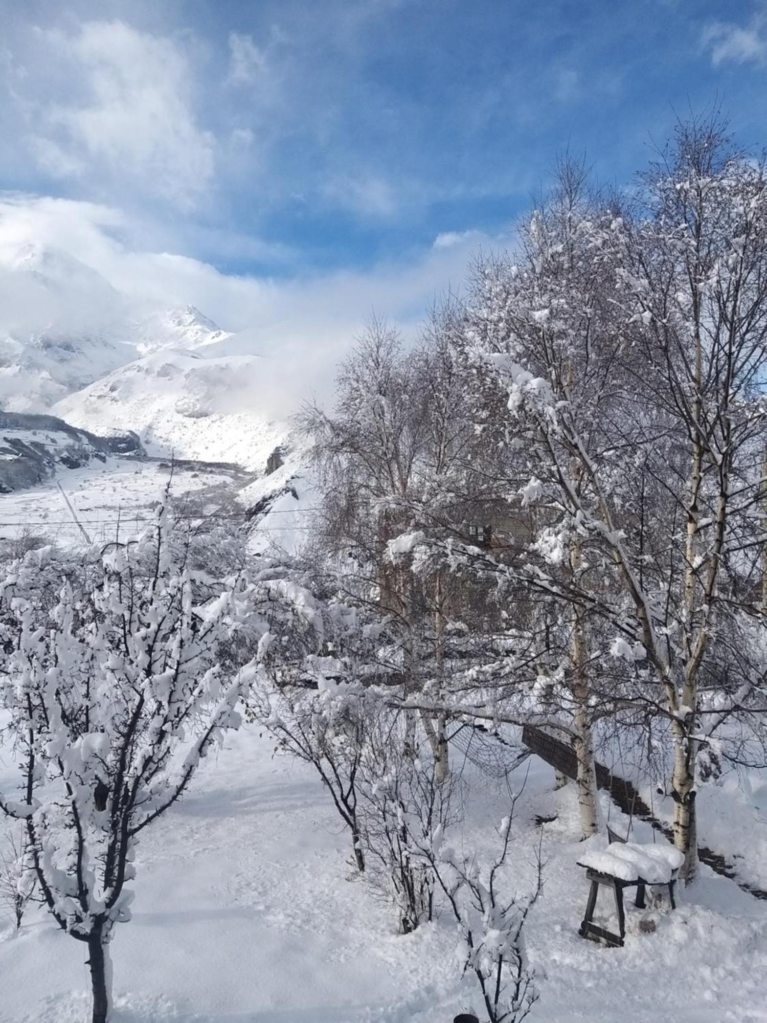 Апартаменты Emotion Kazbegi Номер фото
